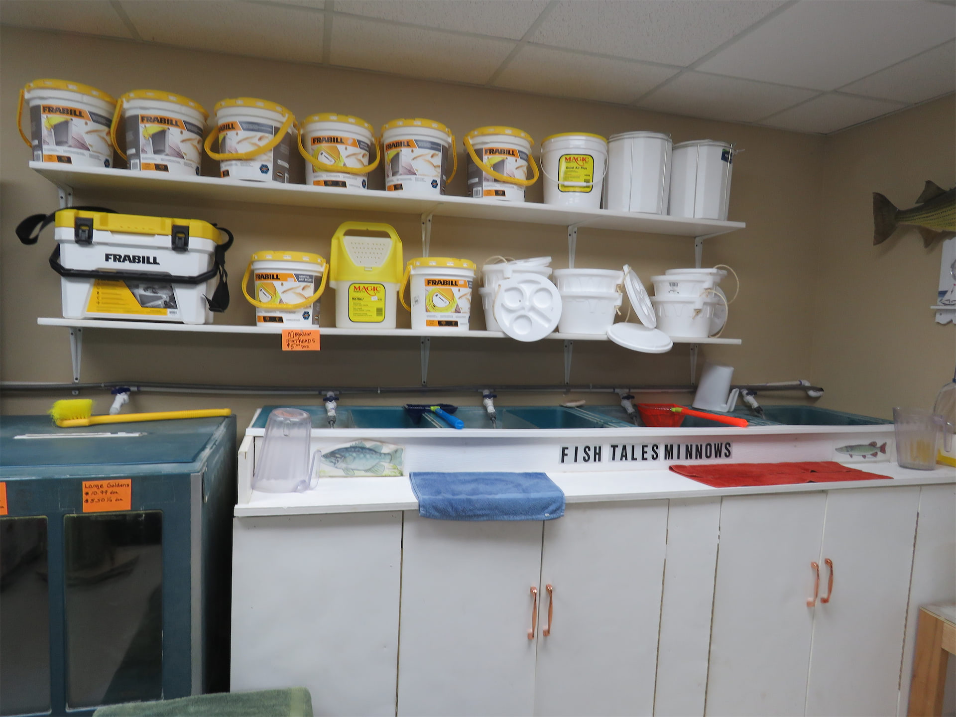 Bait shop store counter