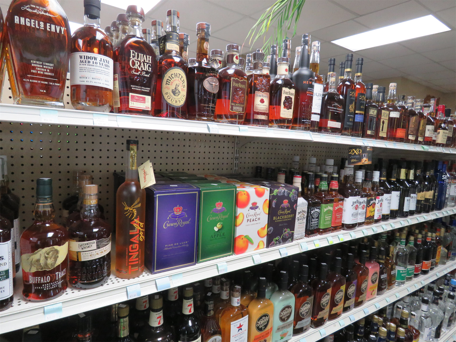 Bait shop store counter